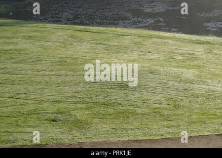 Hintergrund mit grüner Wiese und gelbe Sonnenlicht, Nebel Abdeckung Gras Hügel. Fotos im Golf Course Design Ideen, Travel, Werbung Stockfoto