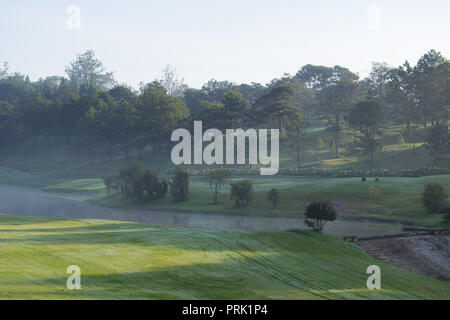 Hintergrund mit grüner Wiese und gelbe Sonnenlicht, Nebel Abdeckung Gras Hügel. Fotos im Golf Course Design Ideen, Travel, Werbung Stockfoto
