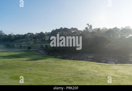 Hintergrund mit grüner Wiese und gelbe Sonnenlicht, Nebel Abdeckung Gras Hügel. Fotos im Golf Course Design Ideen, Travel, Werbung Stockfoto