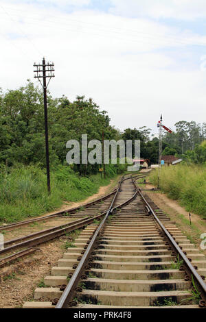 Wandern auf der Schiene zu oder von Ella station. In Sri Lanka, August 2018. Stockfoto