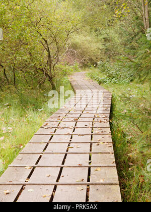 Holz weg Kreuzung Moor auf Kreuzotter Wanderweg, Nationalpark Bayerischer Wald, Bayern Stockfoto