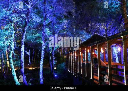 Bis 1900 Embargo Mittwoch, Oktober 03 Tricia Fox Blick von einer Brücke im Zentrum Der verzauberte Wald Licht und Ton Festival im faskally Wood in Pitlochry. Stockfoto