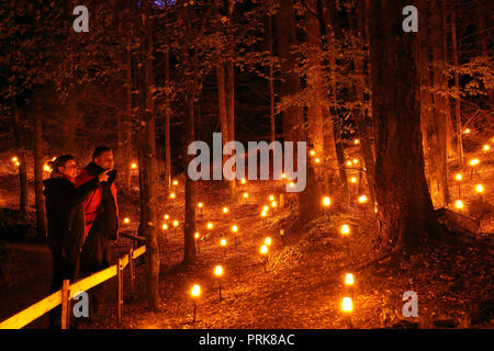 Bis 1900 Embargo Mittwoch, Oktober 03 Menschen Der verzauberte Wald Licht und Ton Festival im faskally Wood in Pitlochry. Stockfoto