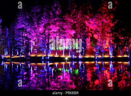 Bäume spiegeln sich in Loch Dunmore beim Sound and Light Festival Enchanted Forest in Faskally Wood in Pitlochry. Stockfoto