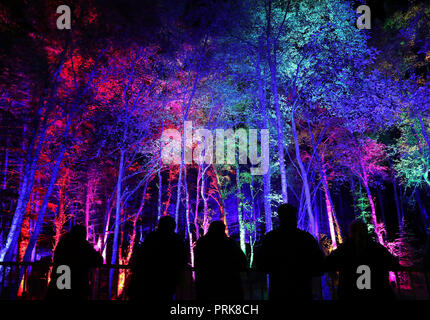 Bis 1900 Embargo Mittwoch, Oktober 03 Menschen Der verzauberte Wald Licht und Ton Festival im faskally Wood in Pitlochry. Stockfoto