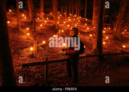 Bis 1900 Embargo Mittwoch, Oktober 03 Alison Lowson Ansichten Der verzauberte Wald Licht und Ton Festival im faskally Wood in Pitlochry. Stockfoto