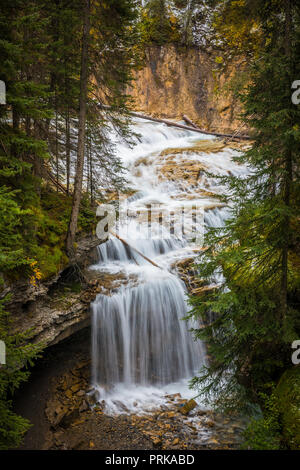 Johnston Creek ist ein Nebenfluss des Bow River in der kanadischen Rocky Mountains. Der Creek ist im Banff National Park. Stockfoto