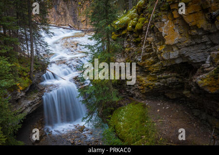 Johnston Creek ist ein Nebenfluss des Bow River in der kanadischen Rocky Mountains. Der Creek ist im Banff National Park. Stockfoto