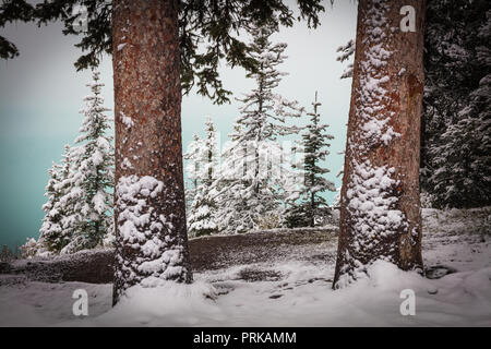 Lake Louise ist ein Gletschersee im Banff National Park in Alberta, Kanada. Stockfoto