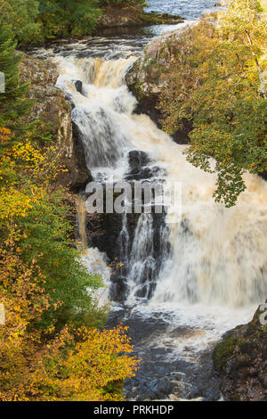 Reekie Linn Wasserfall auf dem Fluss Isla, an der Brücke von Craigisla, Angus, Schottland. Stockfoto