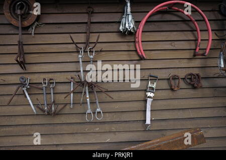 Rettungsring am Boat Station Rettungsschwimmer und Anker Stockfoto