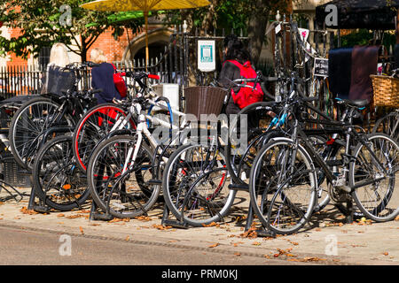 Eine Reihe von abgestellte Fahrräder auf Trinity Street mit Menschen zu Fuß vorbei an einem sonnigen Tag, Cambridge, Großbritannien Stockfoto