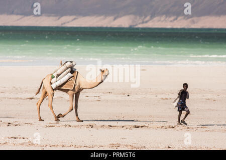 Lake Assal (Salt Lake) Dijbuti - Kamel Zug Stockfoto