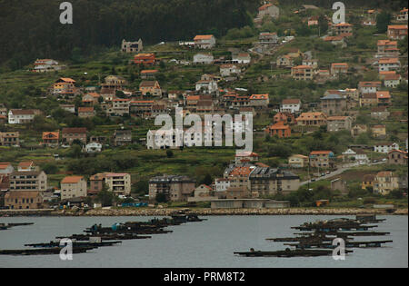 Aquakultur Schalentiere: Anbau von Muscheln vor der Küste von Finisterre. Atlantikküste. Der Provinz Pontevedra, Galicien, Spanien. Stockfoto