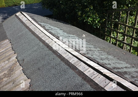 Eine abgenutzte, beschädigte Gartenhaus Dach reparaturbedürftig. Stockfoto