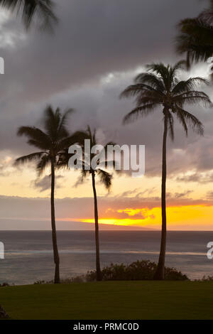 Palmen entlang der felsigen Küste im Napili Punkt bei Sonnenuntergang auf Maui, Hawaii. Stockfoto