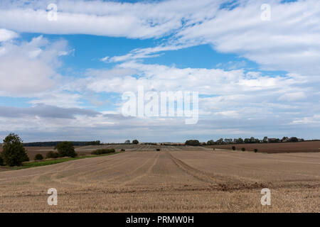 In East Riding von Yorkshire ist ein frisch geernteten Feld an einem sonnigen Herbsttag mit blauen Himmel und Wolken Stockfoto