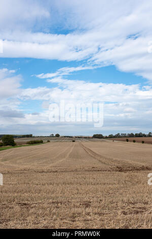 In East Riding von Yorkshire ist ein frisch geernteten Feld an einem sonnigen Herbsttag. Stockfoto