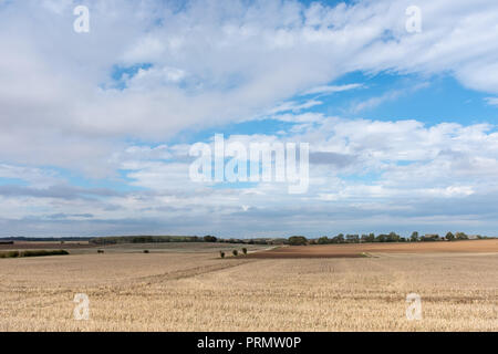 In East Riding von Yorkshire ist ein frisch geernteten Feld an einem sonnigen Herbsttag mit rollenden Wolken und blauer Himmel. Stockfoto