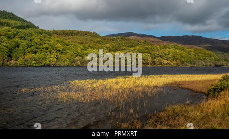 Stürmisches Wetter am Strand am Loch Achray auf einem herbstlichen Tag während der drei Seen in der Trossachs National Park in den schottischen Highlands Stockfoto