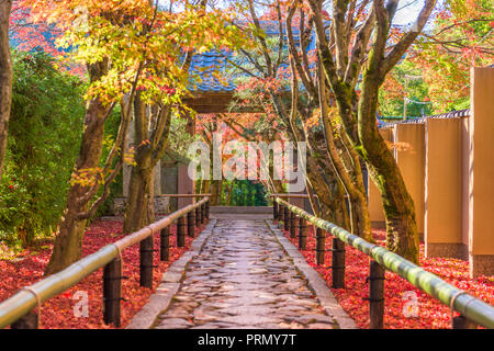 Kyoto, Japan Tempel Eingang im Herbst Saison. Stockfoto