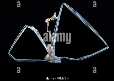 Kreuzpolarisation Stockfoto