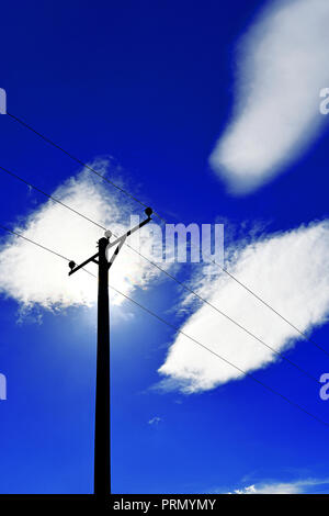 Power Comms Kabel und Pole gegen den tiefblauen Himmel und drei weiße Wolken Stockfoto