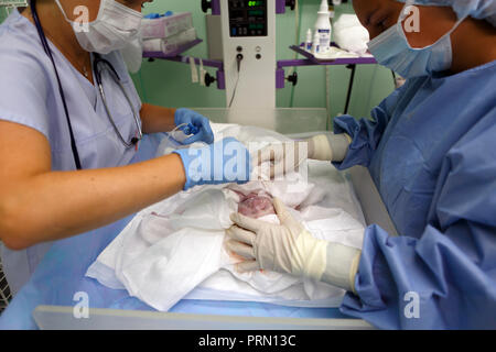 Geburt, Neugeborenes, Krankenschwester, Krankenhaus, Tschechien Stockfoto