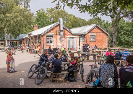 Die Pedalabikeaway cycle Center im Wald von Dean, Gloucestershire, England, Großbritannien Stockfoto