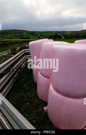 Gower Halbinsel, Swansea, Großbritannien. 3. Oktober 2018. Landwirtschaft Prognose: meistens grau mit einem Hauch von Rosa. Silage war für viele Jahre luftdicht durch Umwickeln mit schwarzem Kunststoff oder manchmal Grün oder Weiß gehalten. Aber für die neuesten Landwirtschaft Fashion Pink ist das neue Schwarz für die Speicherung dieses Futter in der Natur, hier auf der Halbinsel Gower in der Nähe von Swansea, Wales, Credit: Gareth Llewelyn/Alamy Leben Nachrichten. Stockfoto