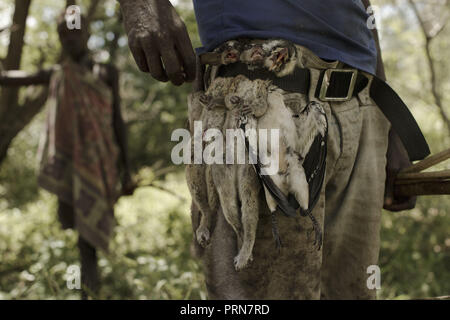 April 21, 2017 - Lake Eyasi, Ngorongoro, Tansania - Der Fang des Tages nach einem langen acht Stunden zu Fuß durch den Busch - Jagd Vögel, Affen, Kaninchen und andere Tiere. Die traditionellen Speisen Hadza ist ausgewogen und ausreichend. Aber ist die Jagd sehr unberechenbar und in diesen Tagen gibt es viele Perioden ohne Fleisch. Der hadza sind eine der letzten verbleibenden Gesellschaften, die in der Welt bleiben, dass rein vom Jagen und Sammeln überleben. Sehr wenig wurde in der Art und Weise, wie der Hadza ihr Leben verändert. Aber es wurde immer schwieriger für sie zu verfolgen die Hadza Lebensart geworden. C 114 Stockfoto