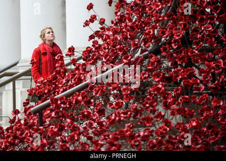 London, Großbritannien. Vom 4. Oktober 2018. Anna Wigley, eine IWM-Mitarbeiter, wirft mit "Fenster", die ikonische poppy Skulptur des Künstlers Paul Cummins und Designer Tom Piper, die im Imperial War Museum vorgestellt wurde. Dies ist die endgültige Präsentation des Weinens Fenster als Teil von 14-18 JETZT UK-Tour der Mohn und die ersten Wave oder weinende Fenster in die Hauptstadt zurückgekehrt sind, da sie waren Teil der 'Blut fegte Länder und Meere von Red' an der Tower von London im Jahr 2014. Die Skulptur wird vor Ort bis 18. November 2018. Credit: Stephen Chung/Alamy leben Nachrichten Stockfoto