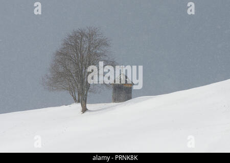 Winterlandschaft mit einer Kapelle in der Nähe des Baumes. Schneefall im Bergdorf. Berge Karpaten, Ukraine, Europa Stockfoto