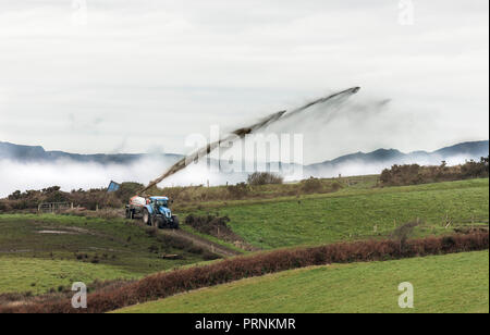 Bantry, Irland. 3. November 2017. Ein Landwirt spreads Gülle über seinem Land im Winter in der Nähe von Bantry Co.Cork, Irland. Stockfoto