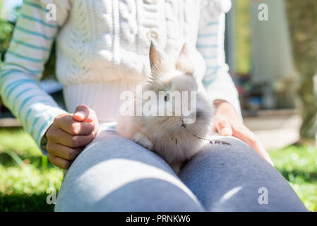 Kleine haarige Häschen sitzt in einem jungen Mädchen außerhalb an einem sonnigen Tag schoß. Stockfoto