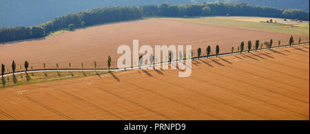 Panoramablick auf schöne orange Felder mit der Ernte und Straße in Bad Schandau, Deutschland Stockfoto