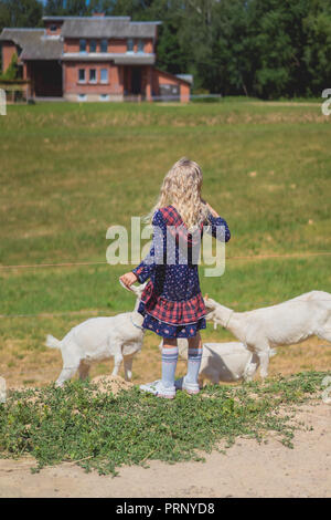 Rückansicht des Kid spielen mit Ziegen auf der Farm Stockfoto