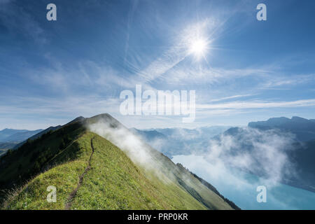 Wandern auf den Hardergrat ridge und Route, Interlaken, Schweiz, EU Stockfoto