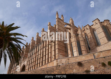 Die Kathedrale Santa María, Palma de Mallorca, Balearen, Spanien. Stockfoto