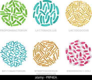 Satz von probiotischen Bakterien in einem Kreis. Gute Mikroorganismen bunte Konzept auf weißem Hintergrund. Propionibacterium, Lactobacillus, lactococcus, Bifidobacterium, Streptococcus thermophilus, Escherichia coli Stock Vektor