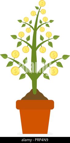 Wachsende Money Tree mit Goldmünzen in Keramik Topf. Symbol für Erfolg, Reichtum und Macht. Finanzen und Banken, Ersparnisse und Investitionen, Business Konzept Präsentationen auf weißem Hintergrund. Stock Vektor
