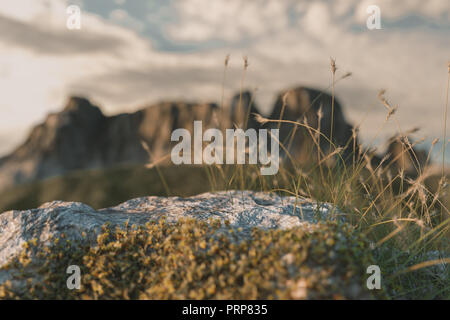 3D-Rendering von Berg Stein mit Moos und hohen Gesäte Stockfoto