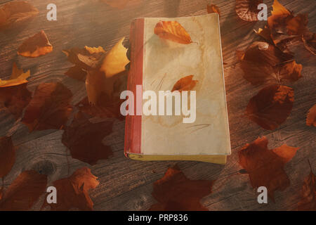 3D-Rendering des alten Buch auf Holztisch mit Blättern im schönen Herbst Sonnenlicht Stockfoto