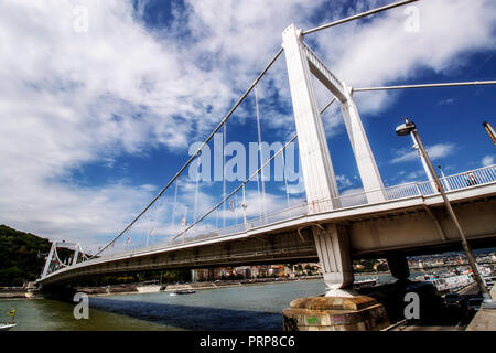 Die Elizabeth Bridge (Erzsebet Hid), verbindet Buda und Pest über der Donau in Budapest, Ungarn, Osteuropa. Stockfoto