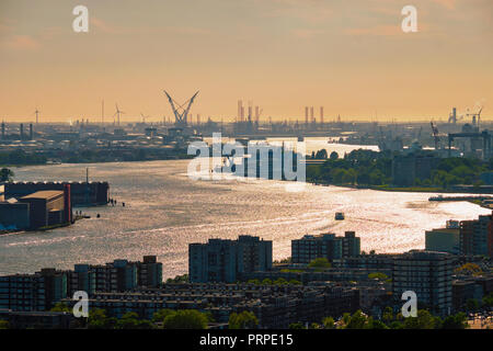 Blick auf den Hafen Rotterdam und Nieuwe Maas Stockfoto