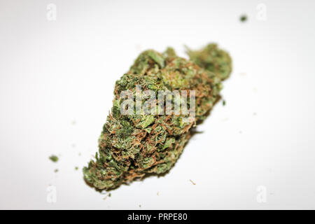Getrocknete Blume des rechtlichen Cannabis auf Weiß Stockfoto