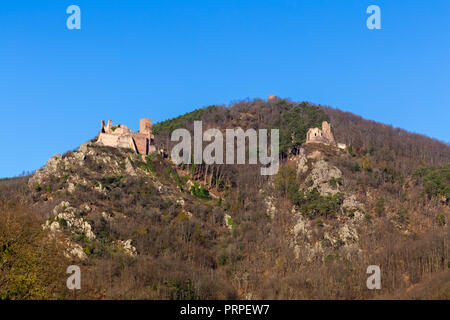 St. Ulrich Burg, Elsässer Wein Route, Ribeauvillé, Frankreich. Stockfoto