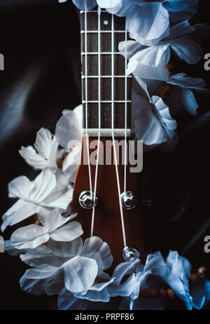 Nahaufnahme einer Ukulele Hals gegen einen dunklen Hintergrund Stockfoto