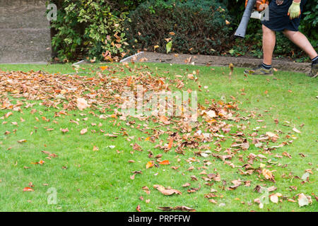 Mann mit einem laubbläser einen Garten Rasen ordentlich Stockfoto