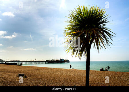 Brighton am Meer Stockfoto